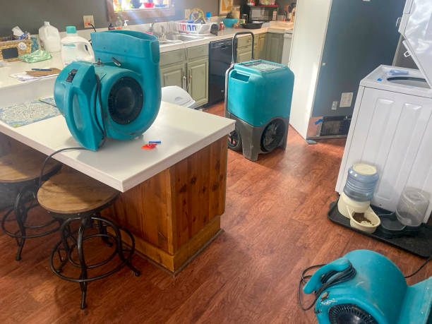  Greenfield, MO Water damage restoration Pros