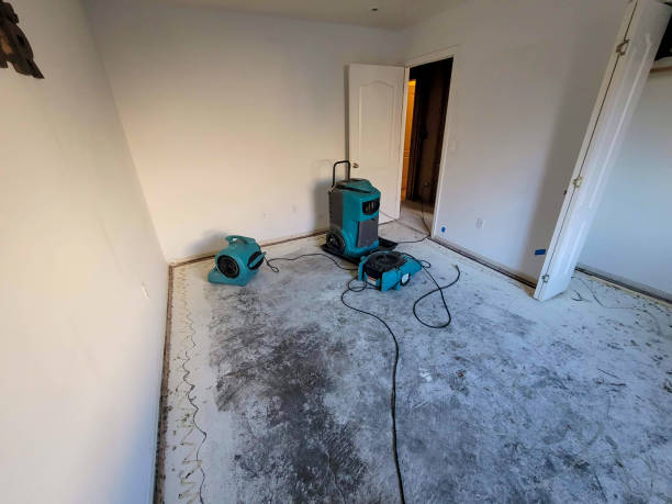 Best Flooded house restoration  in Greenfield, MO