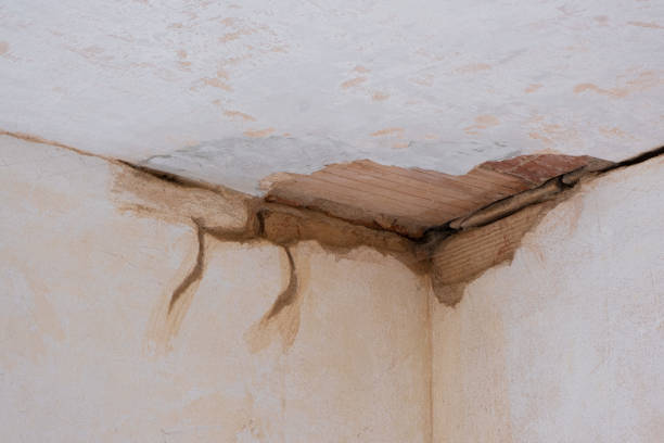 Water damage restoration mold remediation in MO