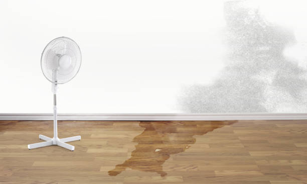 Best Fire Damage Restoration  in Greenfield, MO