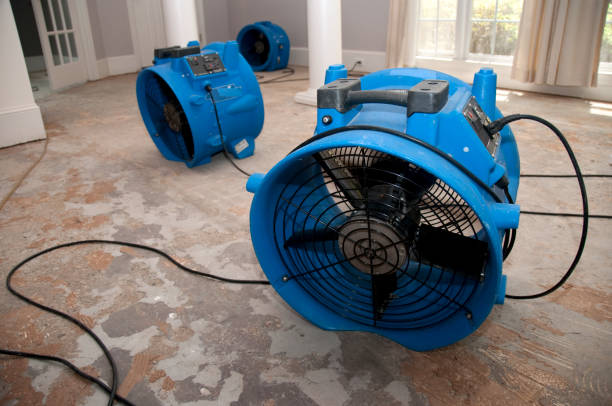 Best Water damage contractors near me  in Greenfield, MO