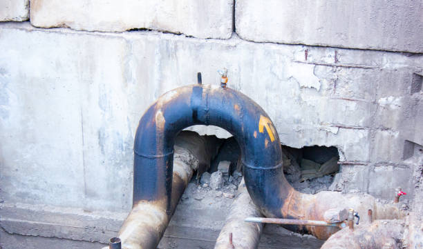 Best Flood damage cleanup  in Greenfield, MO